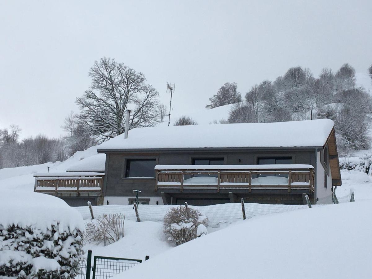 Chalet Bel Horizon La Montagne Des Lamas ラ・ブレス エクステリア 写真